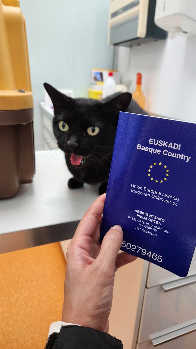 Adivinad quien ha sido oficialmente adoptada por mi! Os presento a Lady Morrigana Montellora