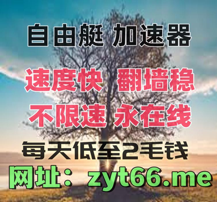 VPN加速器翻墙软件梯子 tweet media