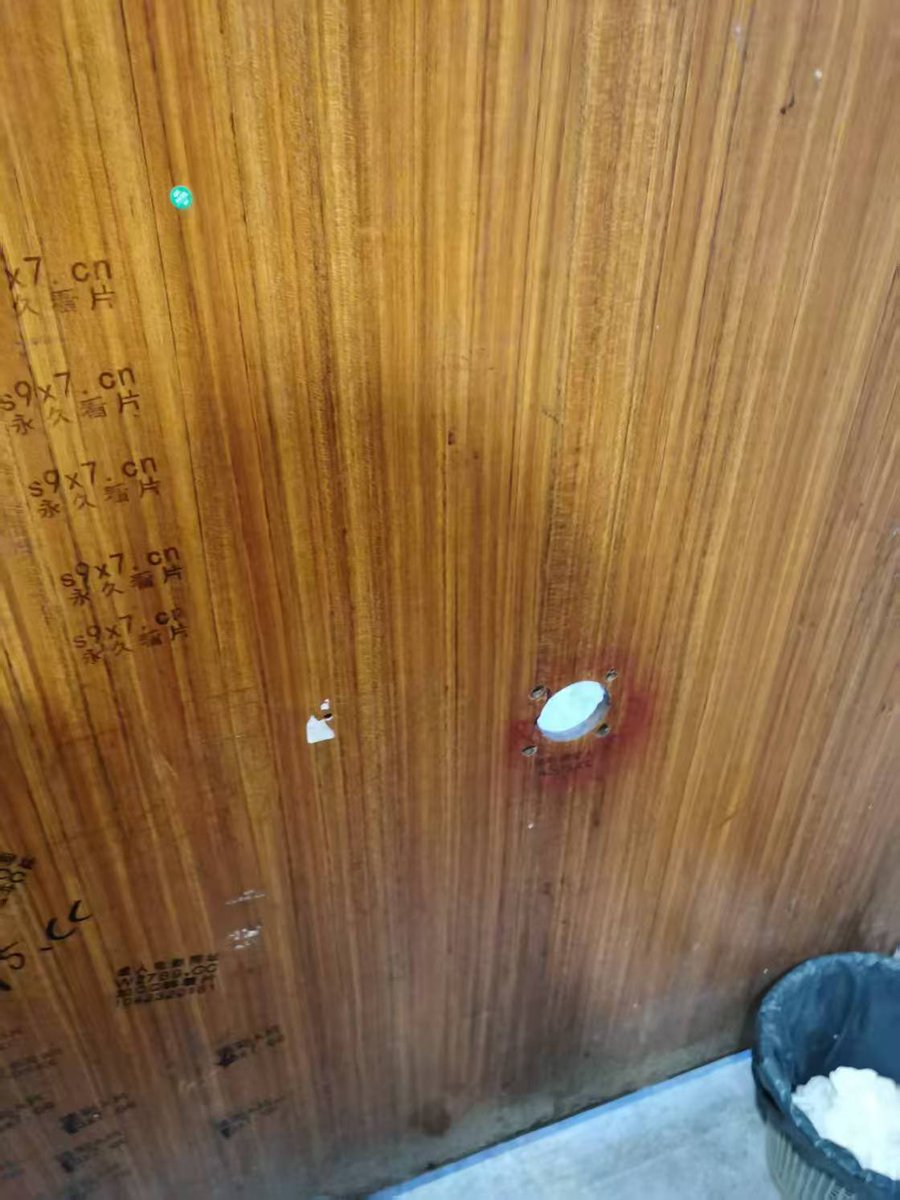 顺德步行街鸟洞

顺德步行街，顺德区华盖路步行街57号

#佛山顺德鸟洞 #佛山鸟洞