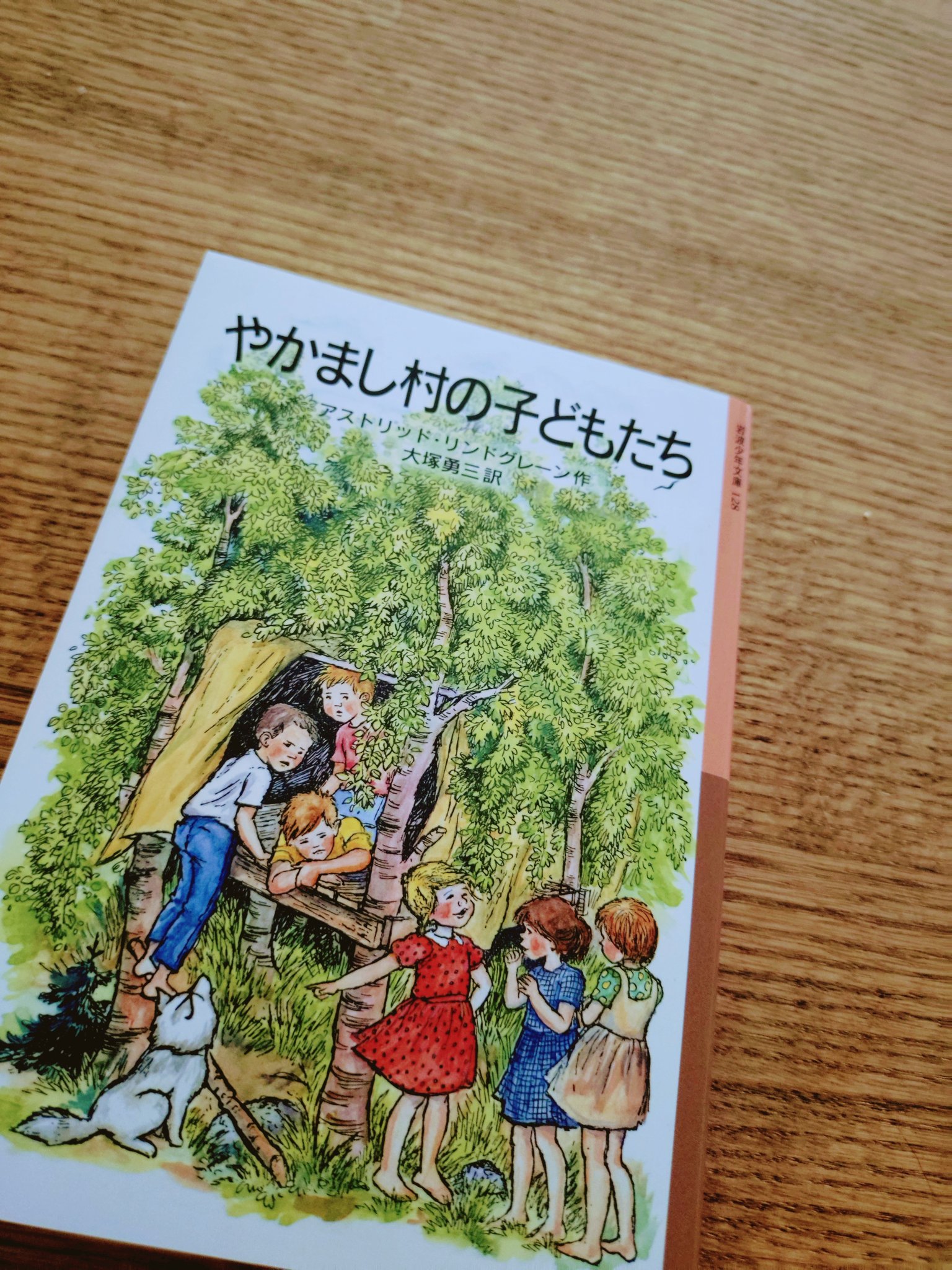 読む〉という冒険 イギリス児童文学の森へ／佐藤 和哉｜岩波