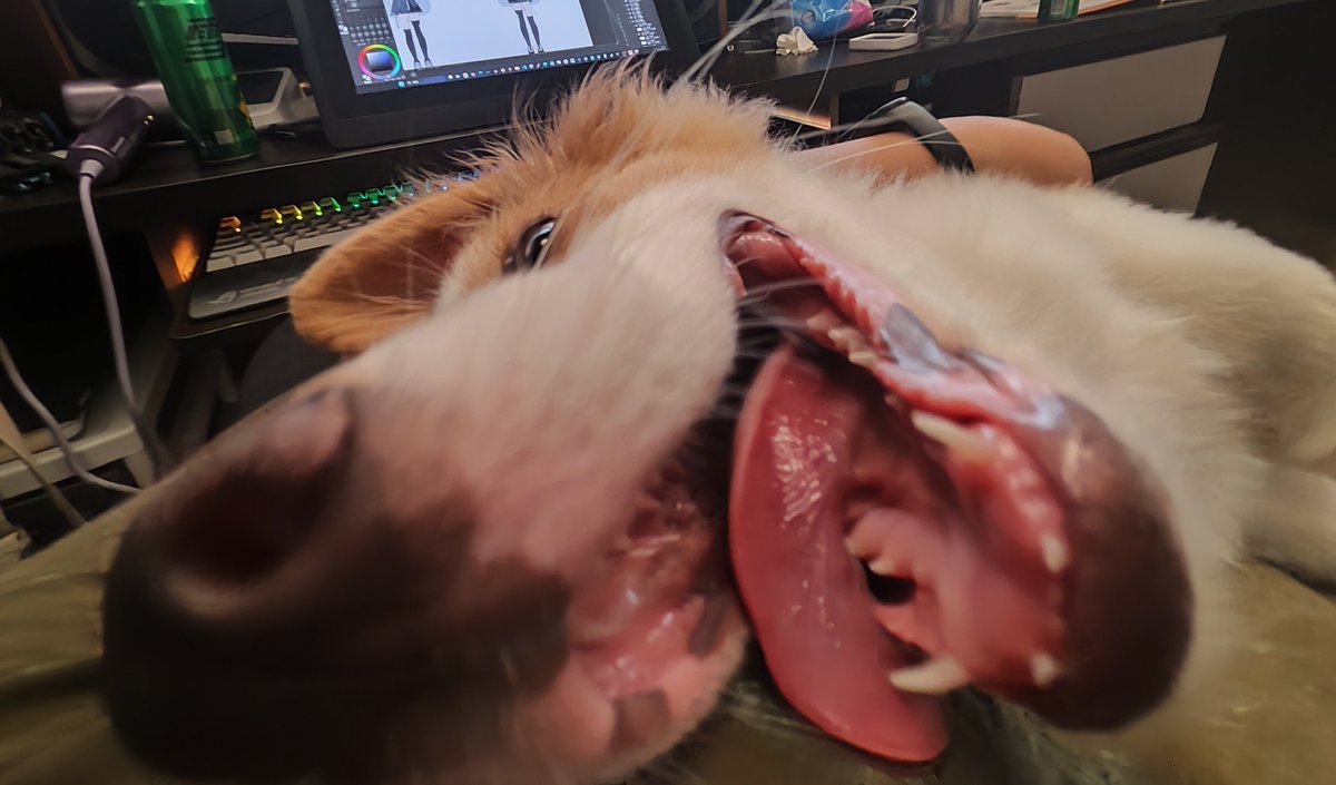 Yueou🐙 (@yueou) on Twitter photo 