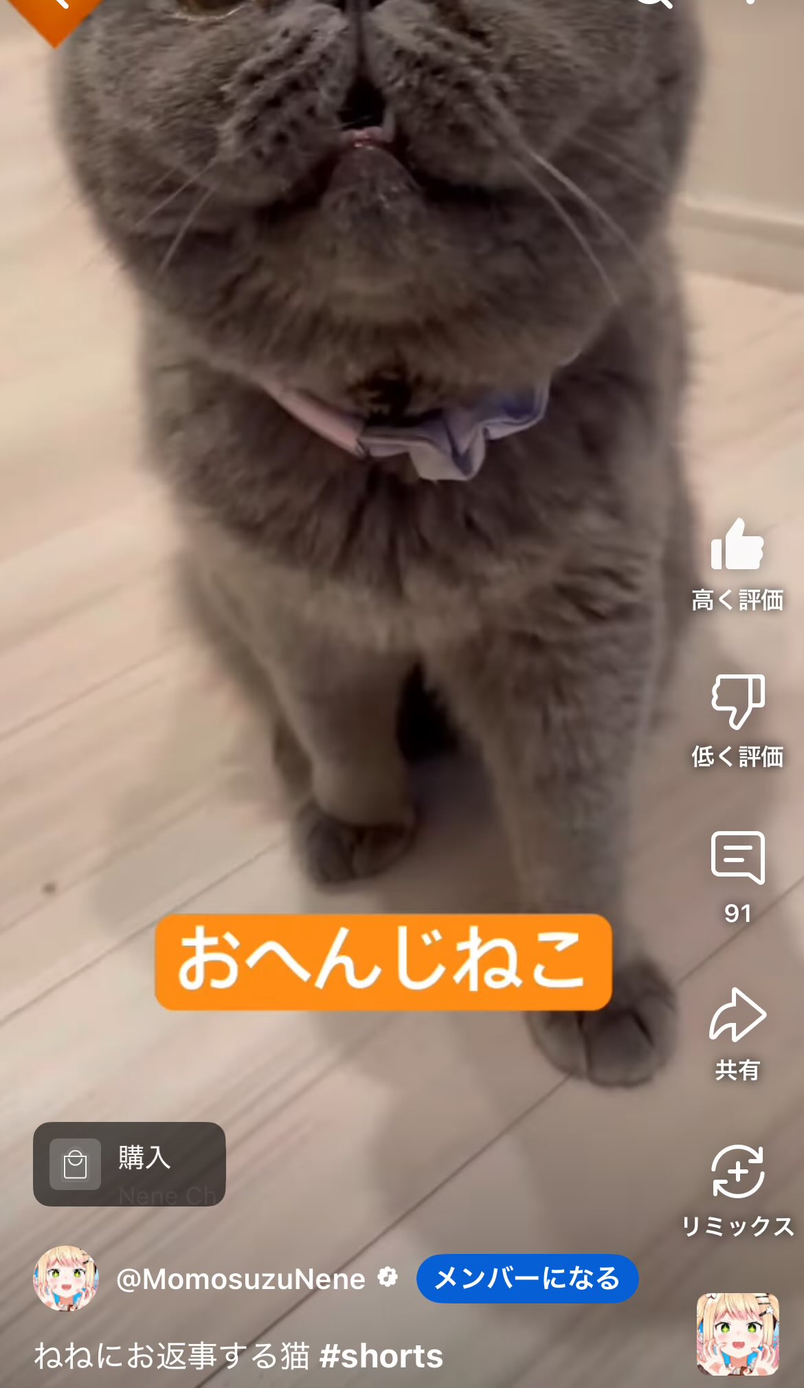 のがねっ子🍑🥟☃️ on X: 