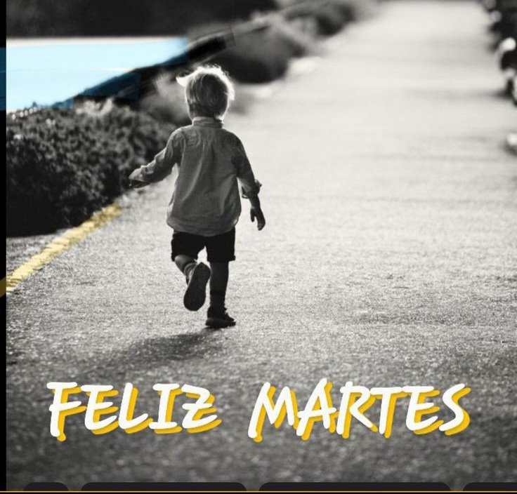 <a href="/roza_negra99/">Luz Bella </a>