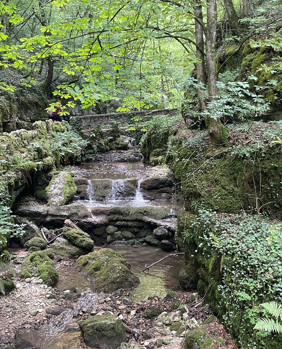 jessicara06's tweet image. A quiet river holds more peace than a thousand words
#SereneScenes #GentleFlow