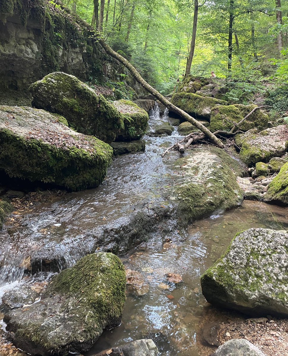 jessicara06's tweet image. A quiet river holds more peace than a thousand words
#SereneScenes #GentleFlow