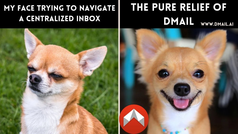 Obongawanora's tweet image. My daily battle with Web2 email vs. how I feel using @Dmailofficial. So much more peace, so much more privacy. The dog gets it. 
 dmail.ai 

#Dmail #AI #SpamFilter #Decentralized