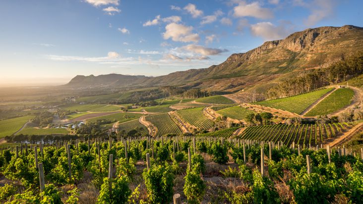 Subscribe to our FREE fortnightly newsletter for editorial, best new wine, opinion &amp; analysis: winemag.co.za/newsletter-sig… #wine #southafrica