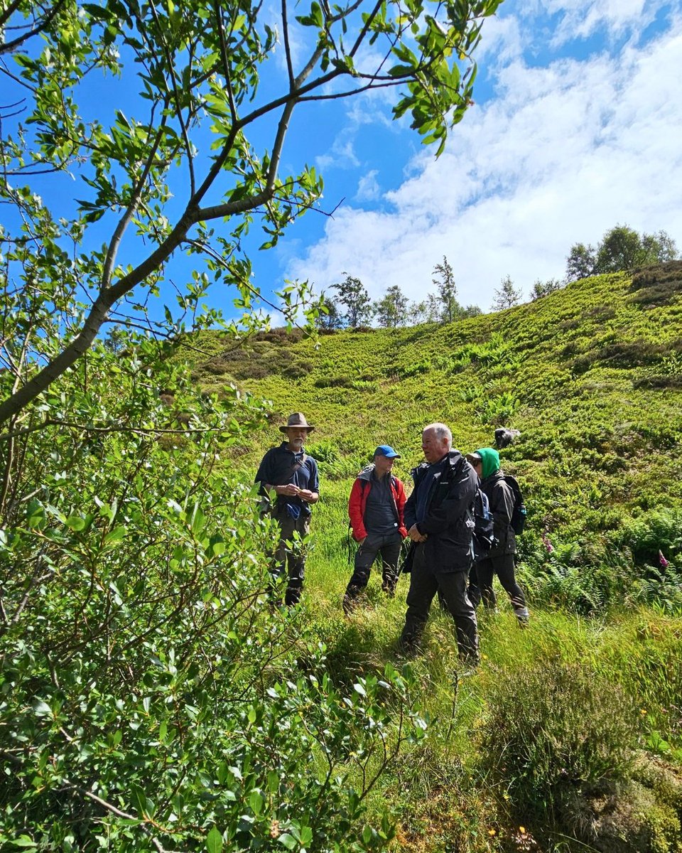 treesforlifeuk's tweet image. Volunteers from our Tree Seed Collection Project recently visited Ben Lawers NNR for their annual trip to learn more about montane tree species.
Montane scrub is a rare and fragmented #habitat found in mountainous regions, where dwarfed #trees and shrubs dominate. 🌿
Learn…