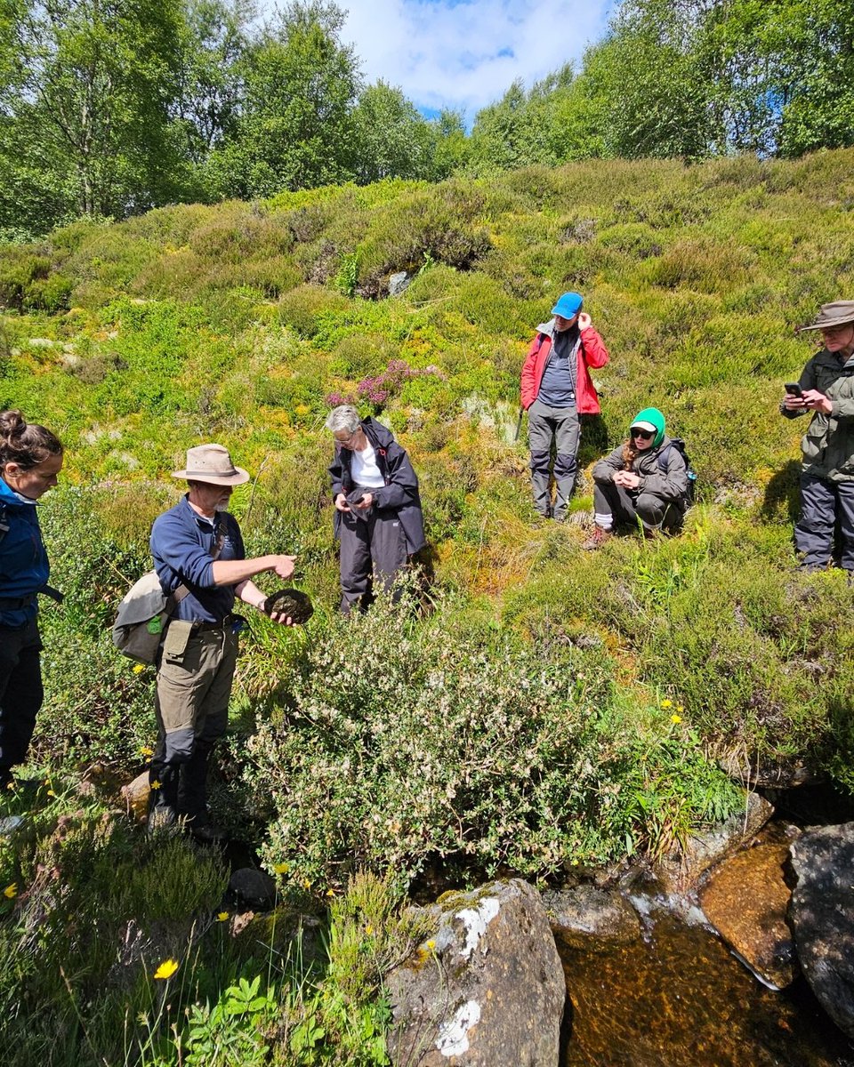 treesforlifeuk's tweet image. Volunteers from our Tree Seed Collection Project recently visited Ben Lawers NNR for their annual trip to learn more about montane tree species.
Montane scrub is a rare and fragmented #habitat found in mountainous regions, where dwarfed #trees and shrubs dominate. 🌿
Learn…