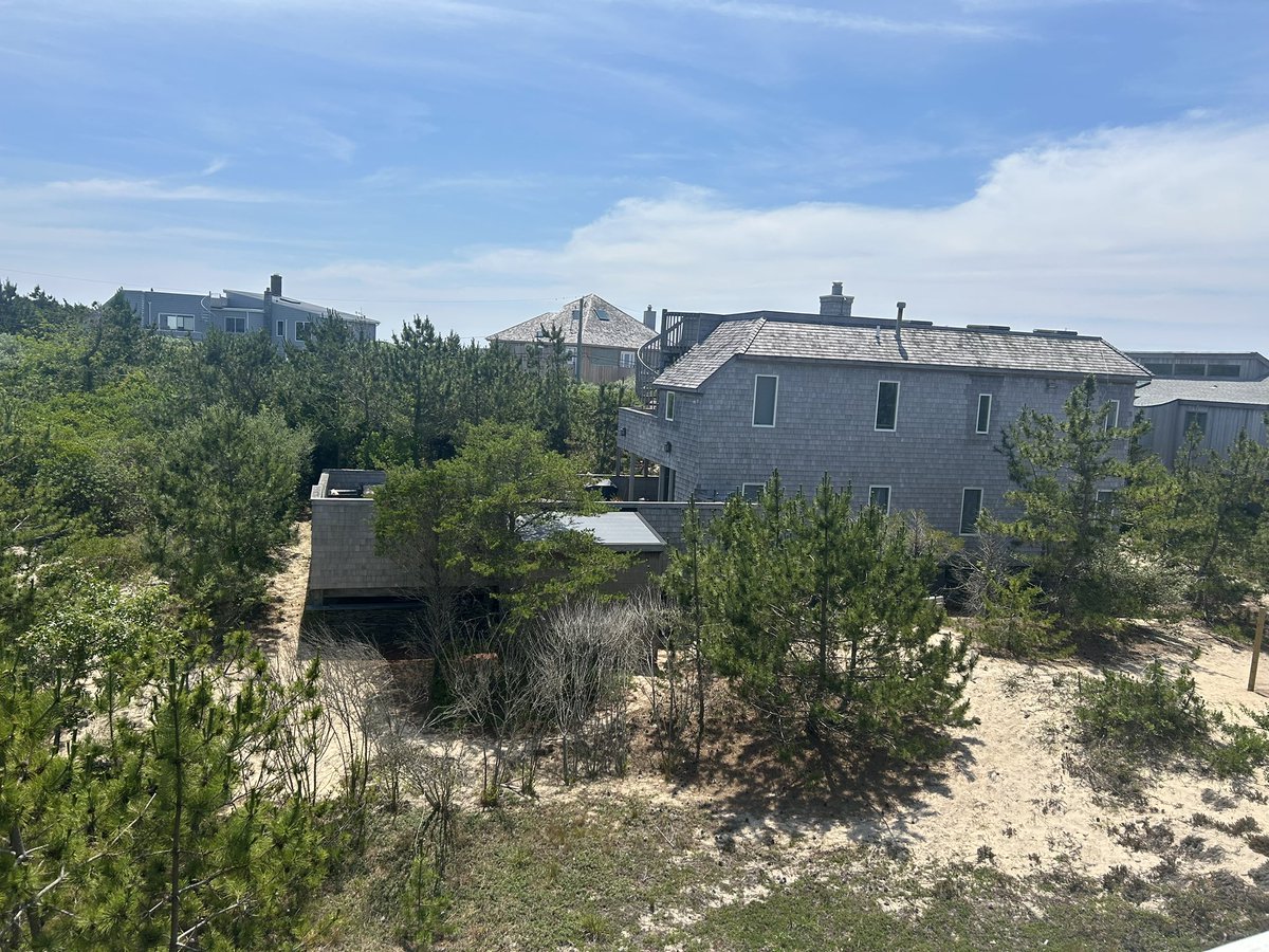 a nice little trippy trip