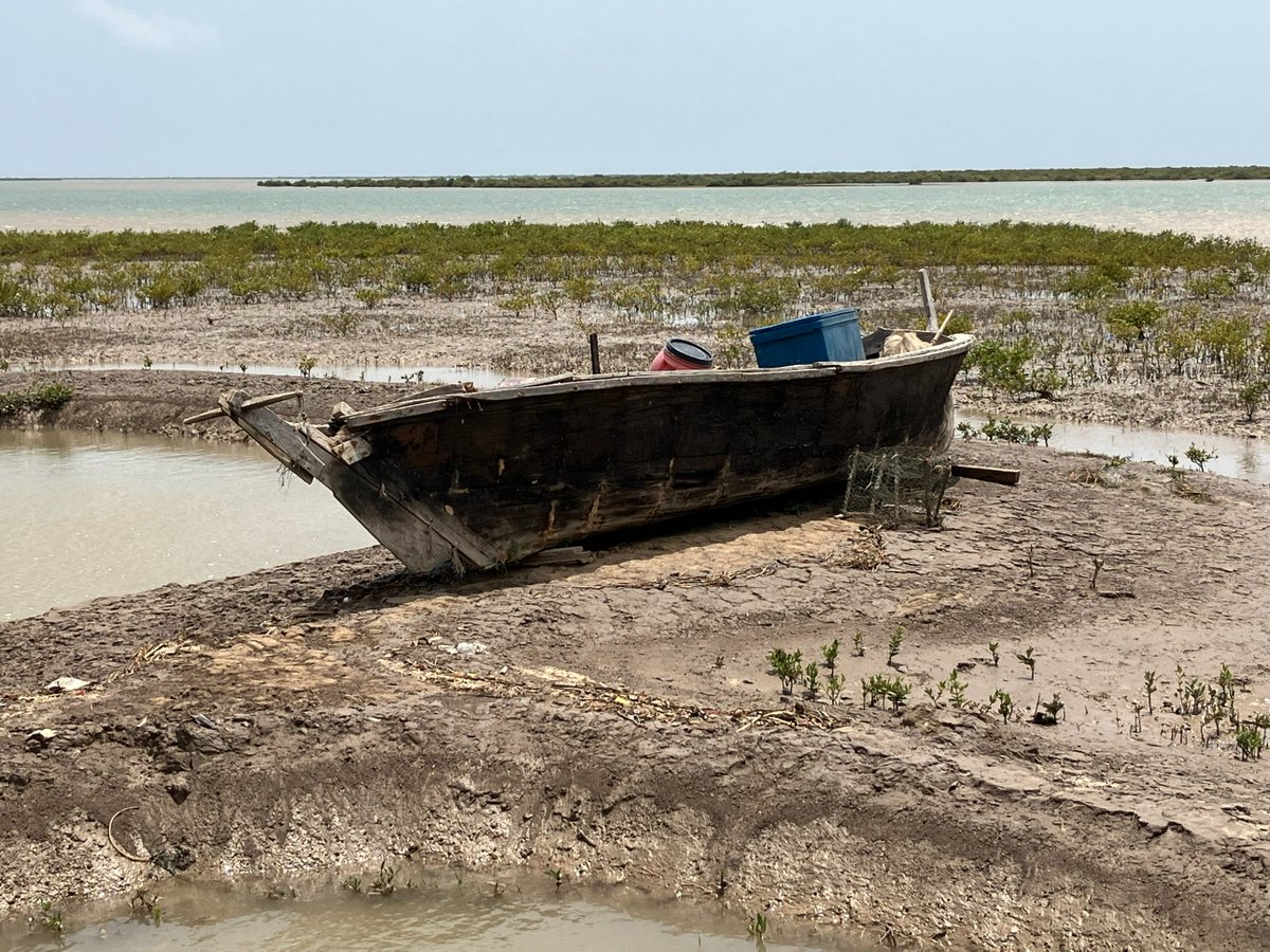 AciarPakistan's tweet photo. 🌍🌊 In Pakistan, climate change is worsening salinity &amp; waterlogging in coastal areas. To build resilience, a mix of green &amp; grey infrastructure and co-developing strategies with local communities is must.  https://t.co/RLvXMyNcRV
@ACIARCEO @AUSPak https://t.co/ebPjcRKGrB