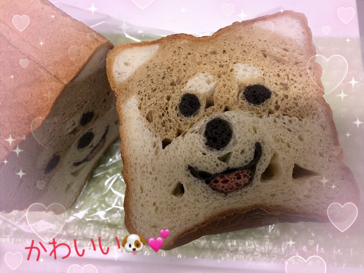 MIDO_PIKO's tweet image. 柴犬🐶食パン🍞食べずに
ずっと眺めている私…