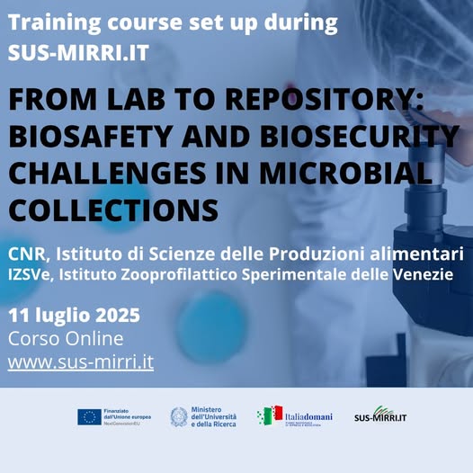 Sus Mirri tweet media