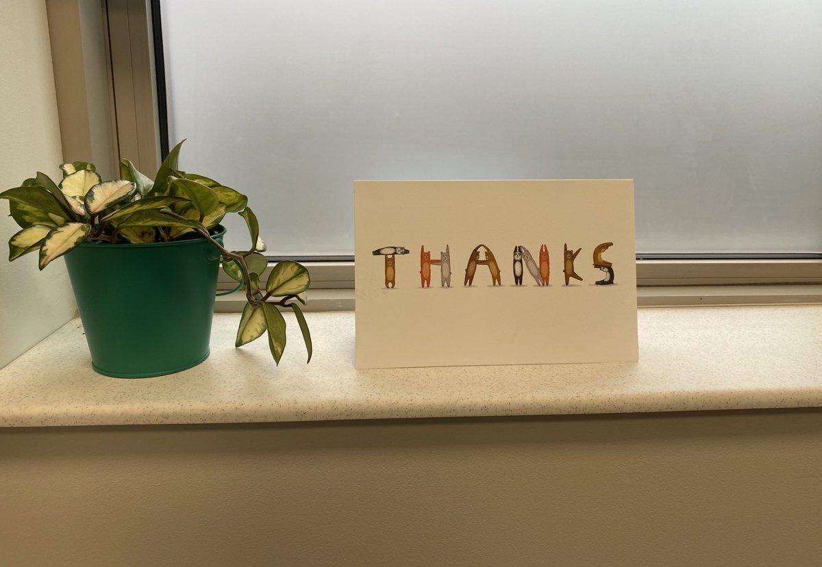 DrDimitrios's tweet image. It is a privilege to receive a Thank You card from a patient.
I keep every single one.
They remind me of why I entered medicine.
To serve human beings.