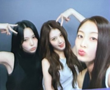 ฅ^•ﻌ•^ฅ tweet media