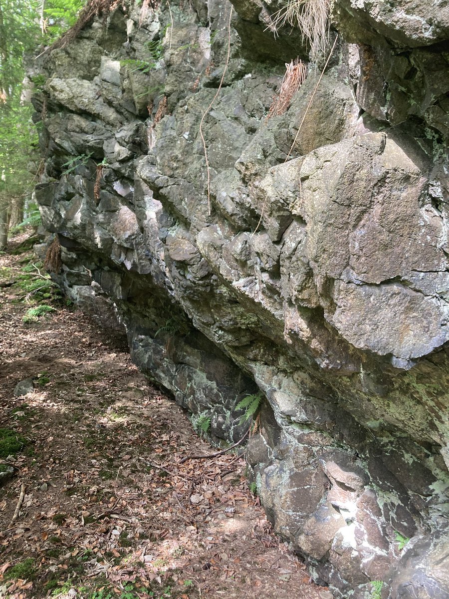 PrehistoricEdge's tweet image. This week #PALaEoScot has been testing this wee rock shelter, hopeful for signs of Scotland’s earliest archaeology. So far just some cracking lithology (literally) and a very friendly dog - but watch this space! 🦴 🦌 🦣 🪨 with @mesodeeside @UKRI_News
