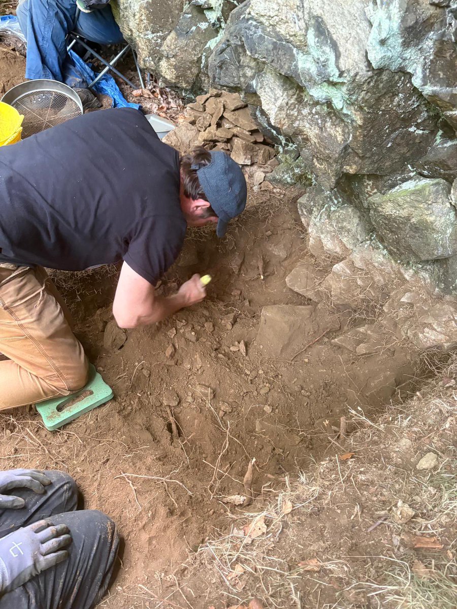 PrehistoricEdge's tweet image. This week #PALaEoScot has been testing this wee rock shelter, hopeful for signs of Scotland’s earliest archaeology. So far just some cracking lithology (literally) and a very friendly dog - but watch this space! 🦴 🦌 🦣 🪨 with @mesodeeside @UKRI_News