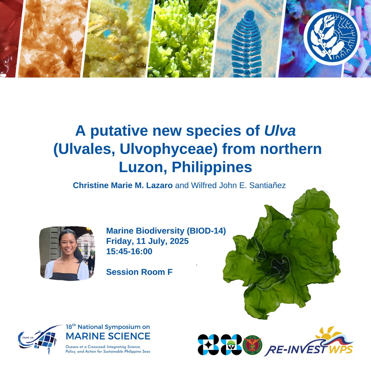 OUR LAB SAILS TO #PAMS18! 🌊

For the upcoming 18th National Symposium on Marine Science to be held at the UP Cebu, our researchers, graduate students, and undergraduate students will be sharing their works on the #diversity &amp; #systematics of the #seaweeds of the Philippines! 🇵🇭