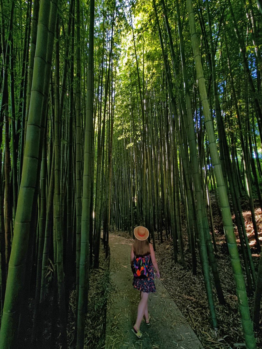 📢🆕 Descubre qué ver en Águeda, Portugal: el famoso cielo de paraguas, arte callejero, lagos naturales y una escapada perfecta para el verano.
mapaymochila.es/que-ver-agueda…