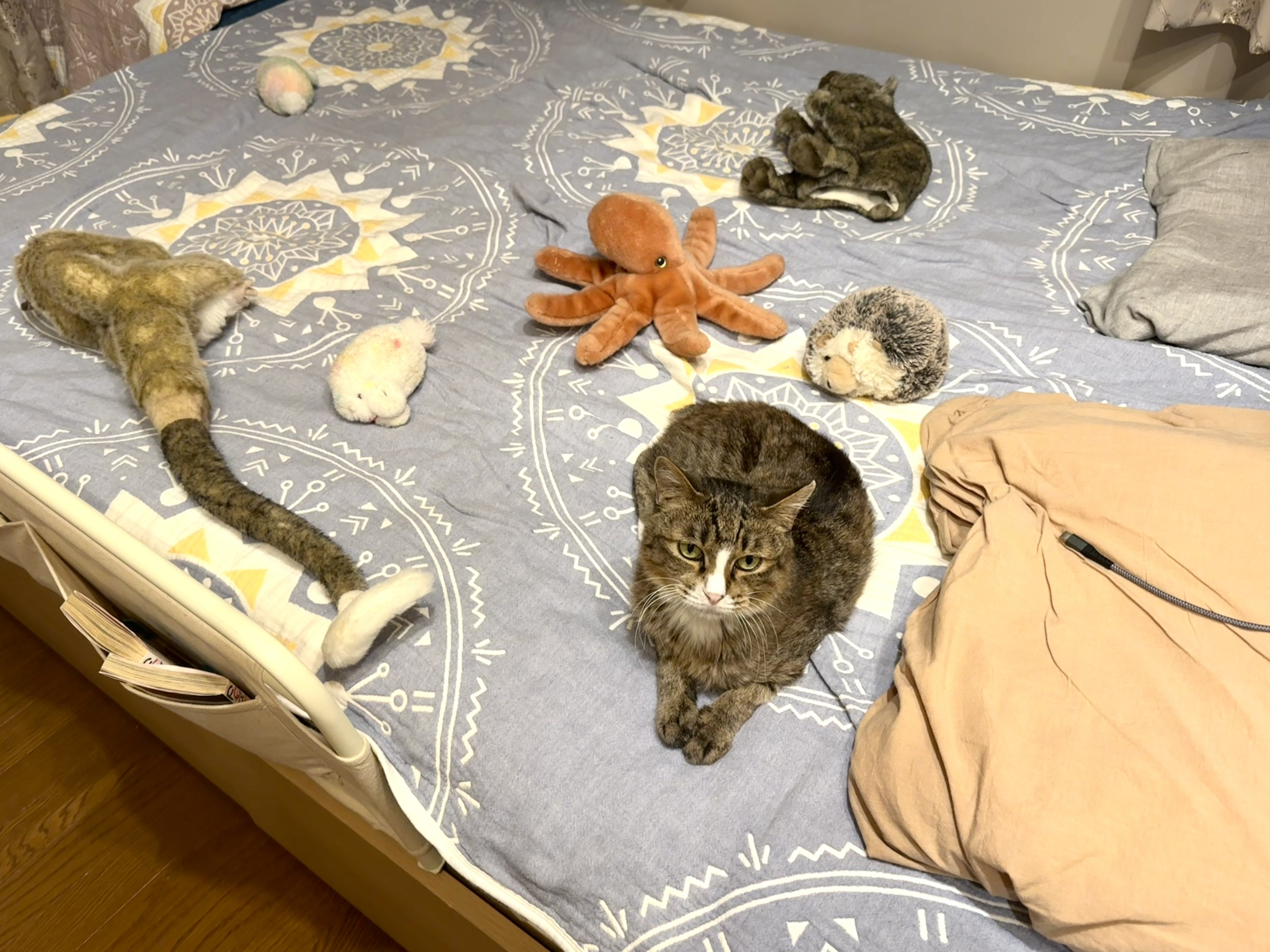 みかん (mikannosashimi_@) / X