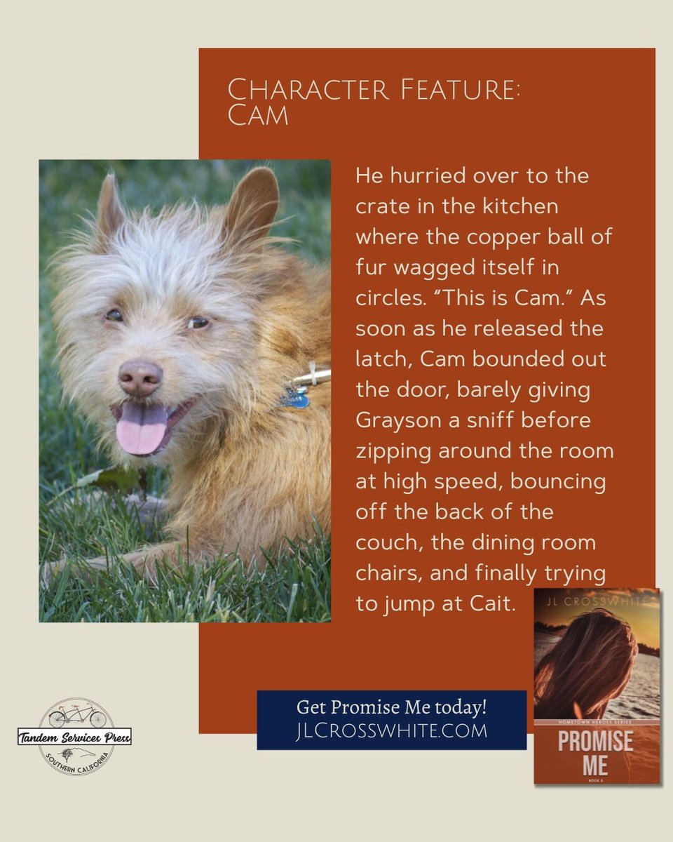 While Cam is Cait’s “accidental” dog, she grows fond of the little guy and his company, even though he tracks mud through her kitchen on a regular basis.

jlcrosswhite.com/books/promise-…