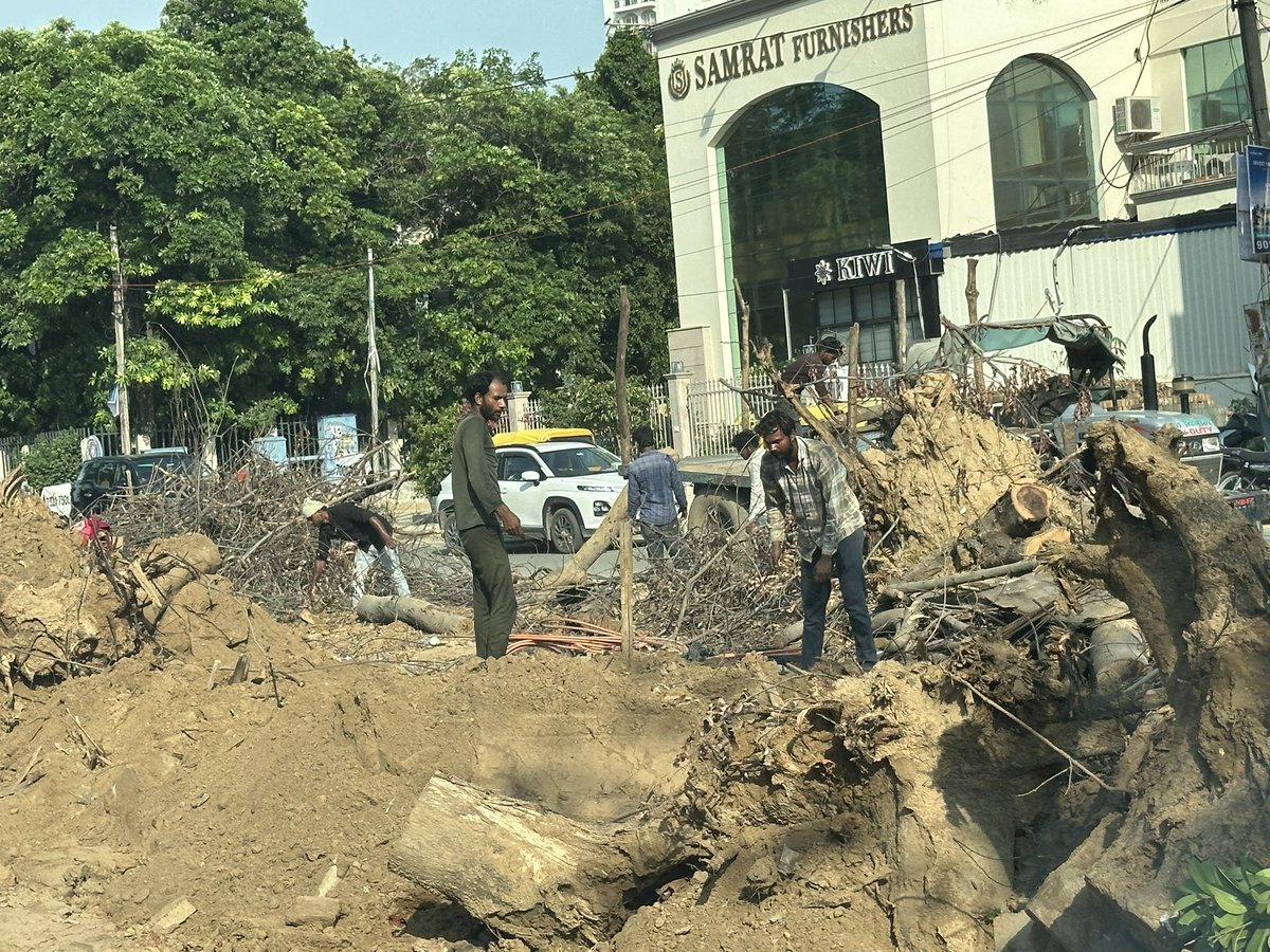 I can’t pass the tree killing fields near Galleria without sadness. “Not a single tree will need to be cut”, an <a href="/OfficialGMDA/">GMDA</a> engineer had told us. We had been shocked by the plans for what was then one of the greenest parts of Gurgaon.