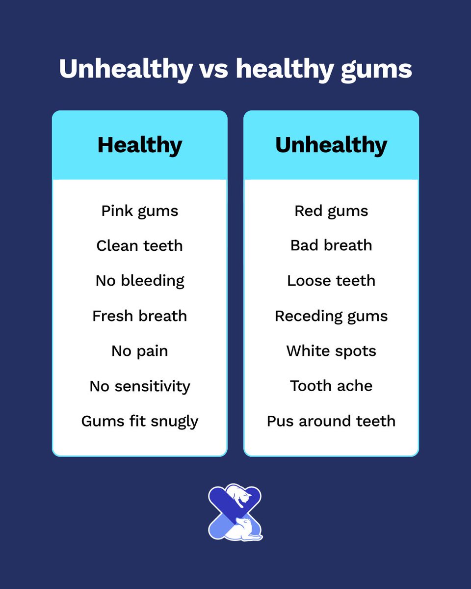 Healthy gums = happy pets 🦷

✅ Pink, pain-free, no bleeding
❌ Red, loose, bad breath
Check regularly &amp; keep their smile sparkling!

#PetDentalCare #UKPetDrugs #HealthyPets #DogHealth #CatCare