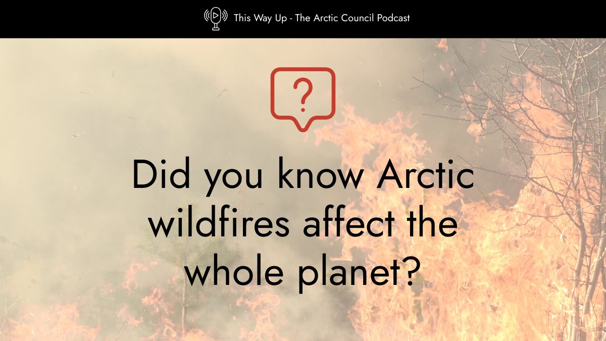 ArcticCouncil's tweet image. 🌡️ The Arctic isn’t just warming — it’s on fire. And those wildfires affect the whole planet. 🌍
From record-breaking fires to underground "zombie fires," the Arctic is changing fast.
🎙️Listen to “The Arctic on Fire” to learn why it matters to us all.
🔗 pod.link/1822773340