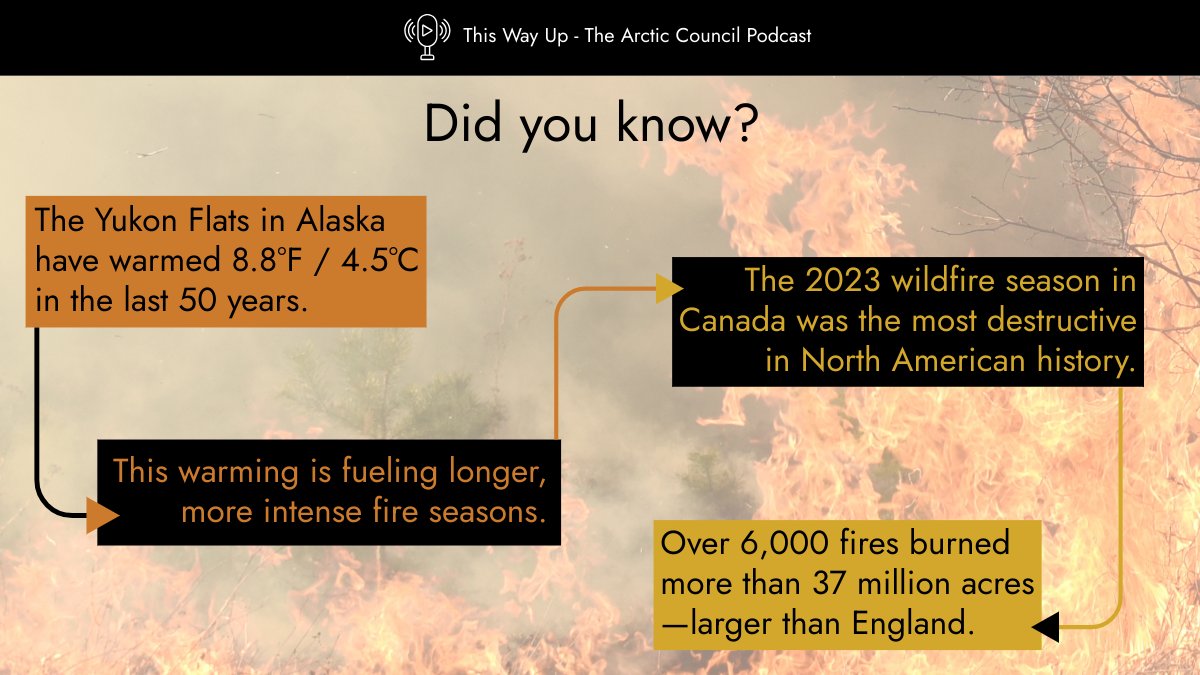 ArcticCouncil's tweet image. 🌡️ The Arctic isn’t just warming — it’s on fire. And those wildfires affect the whole planet. 🌍
From record-breaking fires to underground "zombie fires," the Arctic is changing fast.
🎙️Listen to “The Arctic on Fire” to learn why it matters to us all.
🔗 pod.link/1822773340