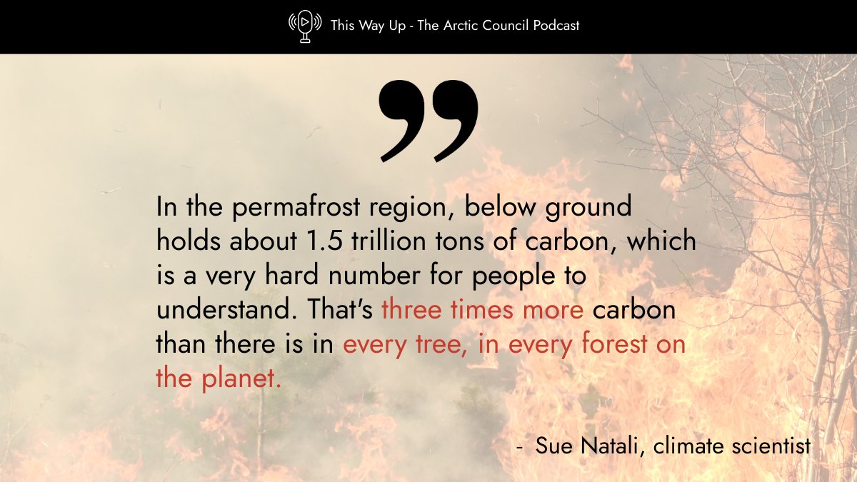 ArcticCouncil's tweet image. 🌡️ The Arctic isn’t just warming — it’s on fire. And those wildfires affect the whole planet. 🌍
From record-breaking fires to underground "zombie fires," the Arctic is changing fast.
🎙️Listen to “The Arctic on Fire” to learn why it matters to us all.
🔗 pod.link/1822773340