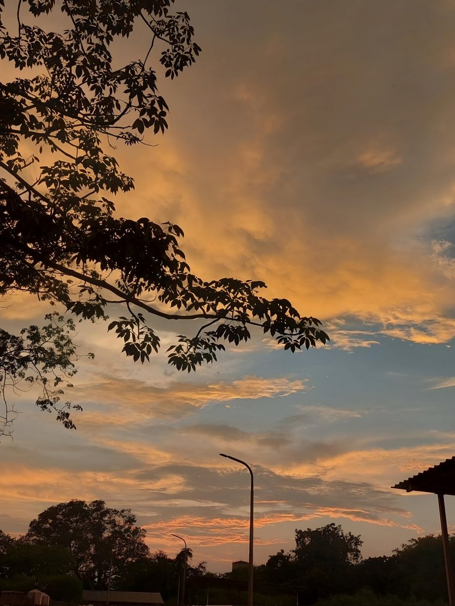 Good evening 😹🌺🌄