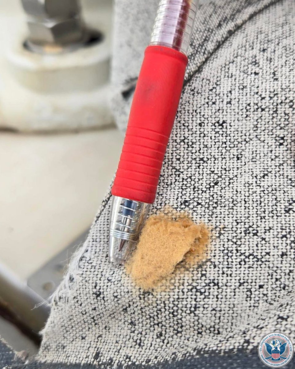 DFOSeattle's tweet image. Agriculture Specialists @cbp at the Port of Tacoma, WA recently found suspected FSMC egg masses on a vessel coming from Japan. The egg mass was collected and submitted to the @usda local identifier for final identification and viability determination. #OFOProud