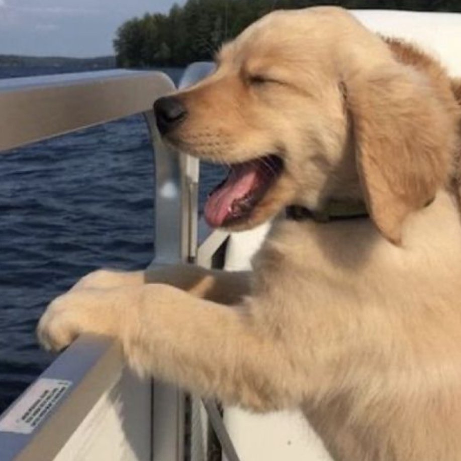 น้องแพร เด็กแก้มขีด ยิ้มตาปิด ยิ้มตาหยี😄 จมูกหย่น = ลูกหมาโกลเด้น
ตัวเท่านิ 🤏 สดใสร่าเริง​น่าร๊ากจัง 😘

#PHARITA #파리타 #パリタ #BABYMONSTER