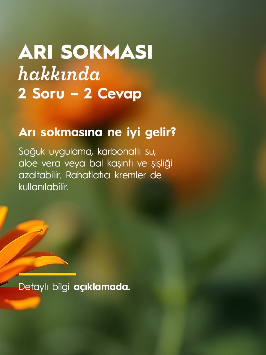 Arı sokması, arının zehrini deriye bırakmasıyla oluşur. Ağrı, şişlik ve kaşıntıya yol açabilir. İğne çıkarılıp bölge temizlenmeli ve soğuk kompres yapılmalıdır. 

Alerjik belirtiler izlenmeli, geçmeyen şikayetlerde mutlaka alerji uzmanına başvurulmalıdır. Ciddi reaksiyonların