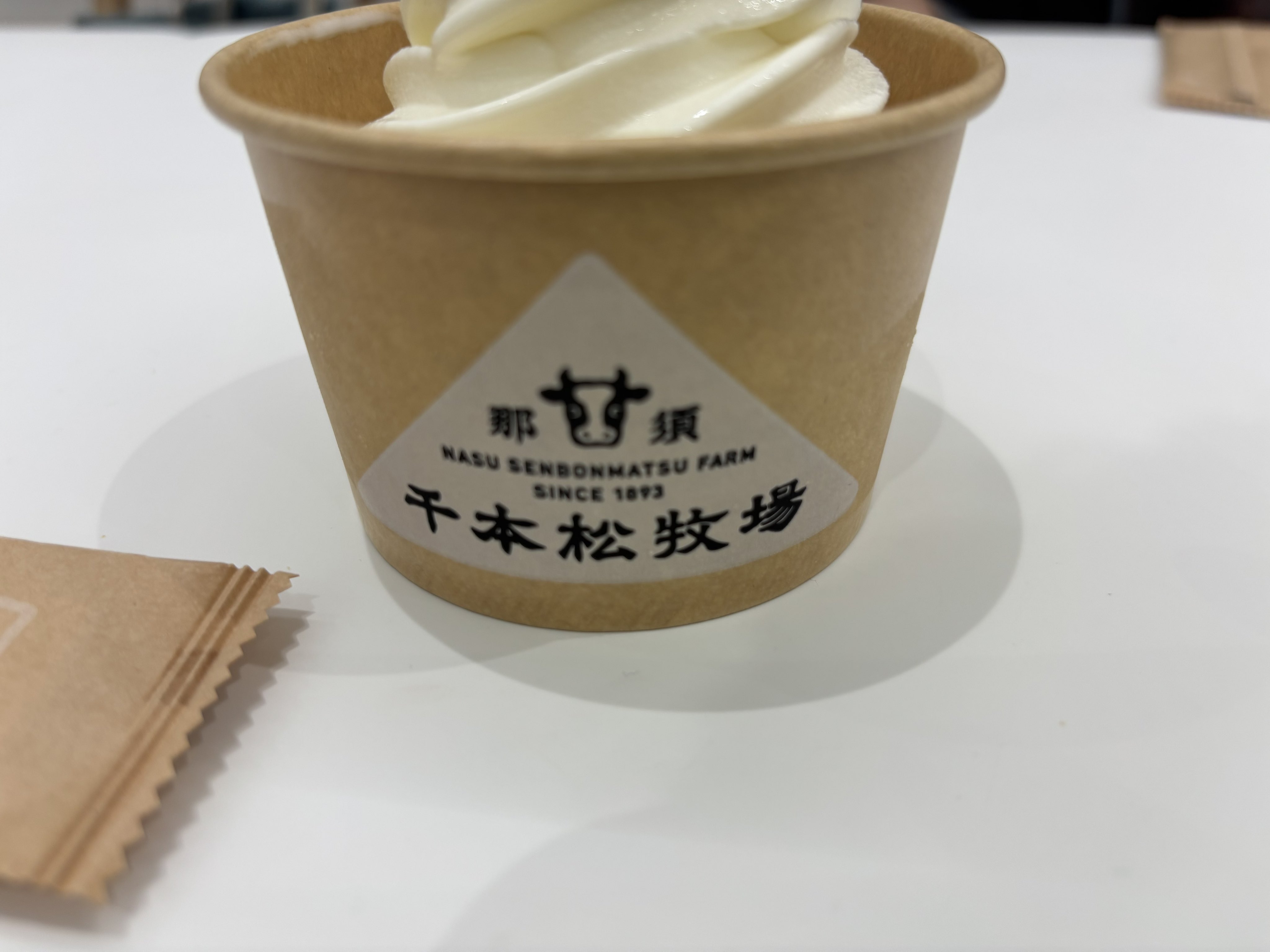 【サボ　愛称板】（表）たてしな TATESHINA（裏） アルプス ALPS 鉄道サボ 愛称板】（表）たてしな TATESHINA（裏）アルプス ALPS