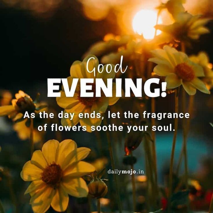 Good Evening, 𝕏 Creator's 

Wishing you an evening filled with laughter and happiness.