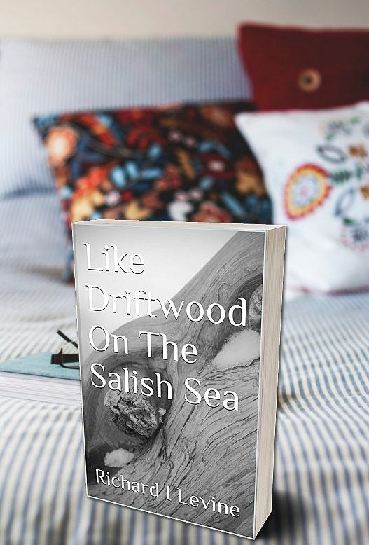 📕📖📗📙★★★★★ “Fans of modern fiction and realistic fiction will greatly enjoy this emotional and authentic read…” LIKE DRIFTWOOD ON THE SALISH SEA by Richard Levine @your_i8_power #PUYB #romance #romancebooks #bookaddict #romancereader
Click here👉
amazon.com/Like-Driftwood…