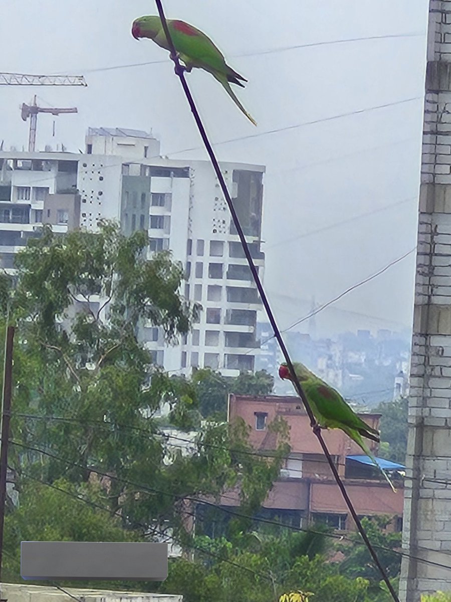 WittyRighter_29's tweet photo. Drop your pairs for #twosday Tuesday !
#weather_demands
#theme_pic_india_pairs
#my_clicks
#Popat https://t.co/xZRwILQ4oF