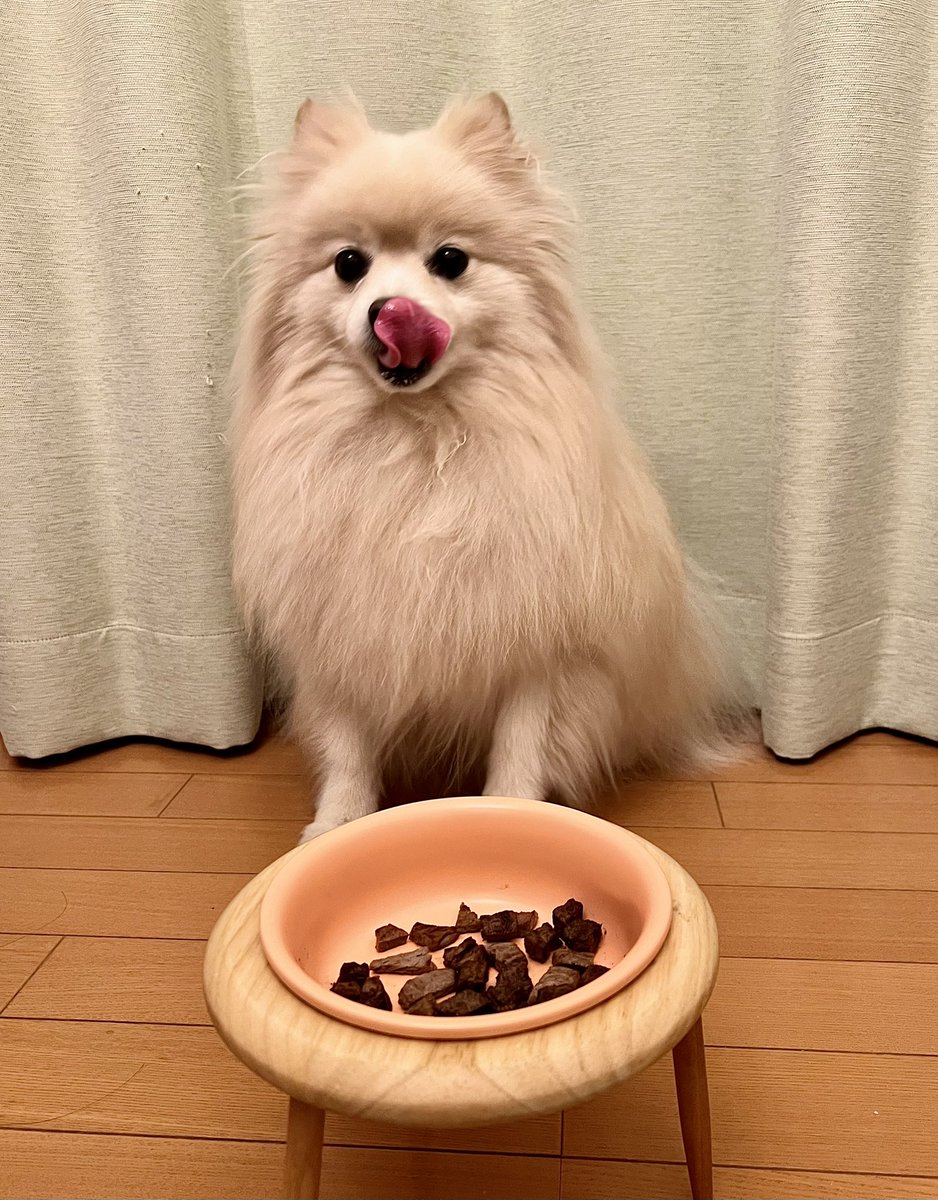 語呂合わせ…7な8はから、今は埼玉県より涼しい⁉️
沖縄県那覇市「那覇の日」🏝️
＆「ナイスバディーの日」ダイエット失敗しても「七転び八起き」今夜もお肉パワーモキュモキュで🍖
夏は痩せてる場合じゃ無いのきゅん‼️✨🐶
📸2008年、大阪府・道頓堀「くいだおれが閉店した日」😭💦