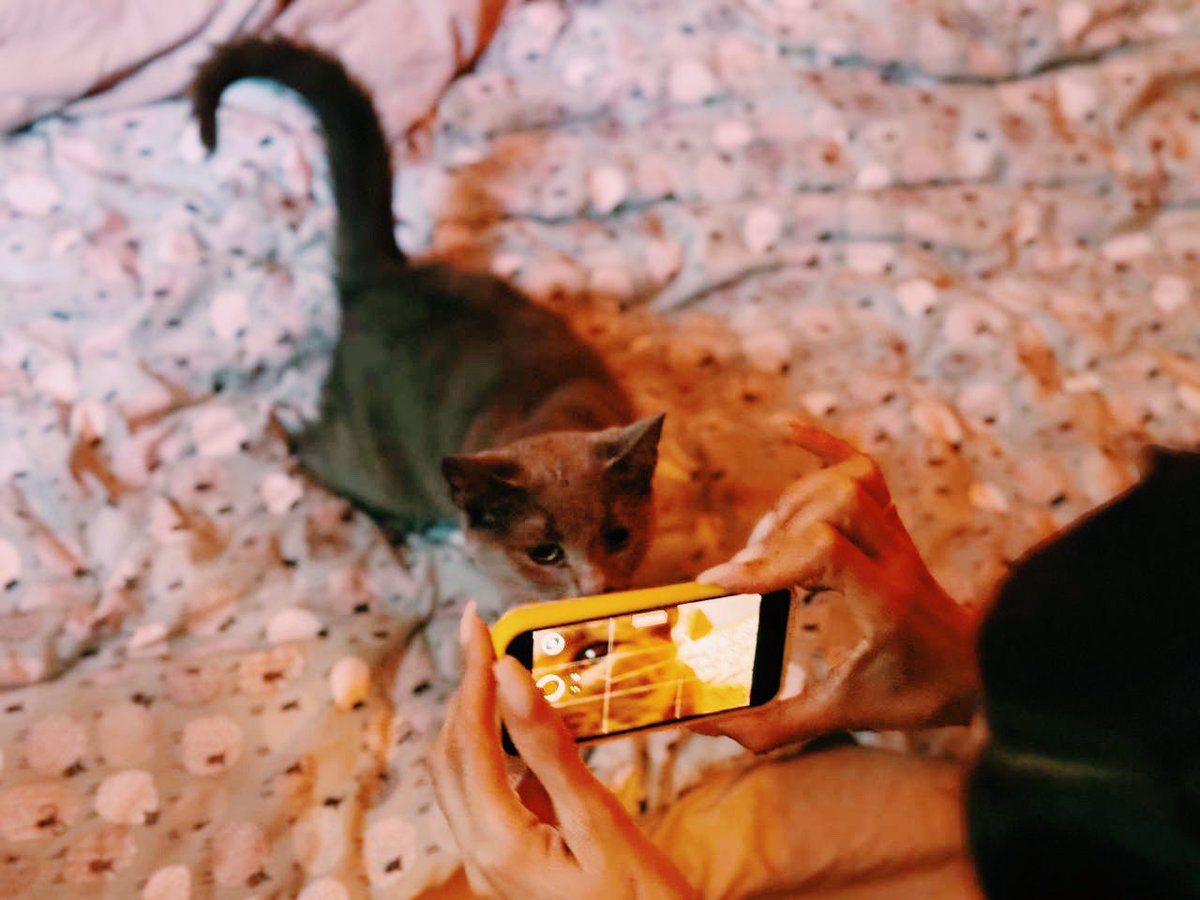 ПАКАЖИ КАК ПОЛУЧИЛОСЬ ПАКАЖИ ПАКАЖИ