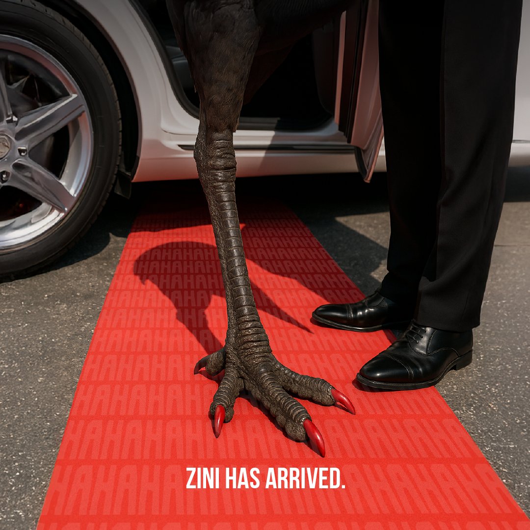 Make some noise for the man, the myth, the legend himself… Zini! He’s here, he’s hungry — so guard your snacks! And if you’re the snack… better run! 😂