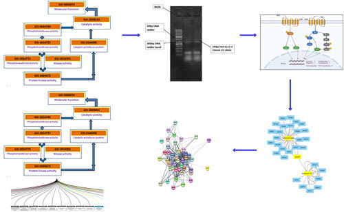 Journal of Computational Biophysics & Chemistry tweet media