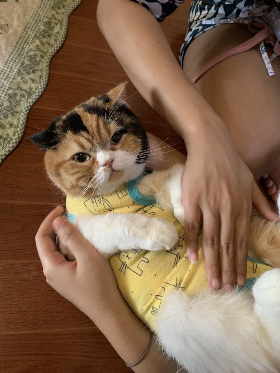 <a href="/yayee2548/">บีมกับน้องๆ</a> ขอตัวใหญ่ที่สุดนะแม่