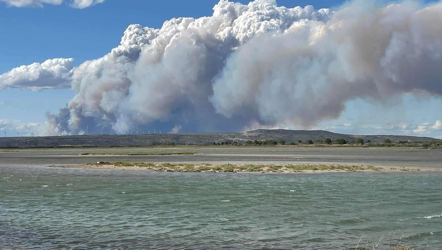 INCENDIE DANS L'AUDE : Le feu qui touche le sud de Narbonne, toujours actif ce midi, a désormais parcouru plus de 2000 hectares et mobilise plus de 1000 pompiers. Des chevaux sont morts. 

Des centaines de personnes ont été évacuées et des quartiers toujours placés en