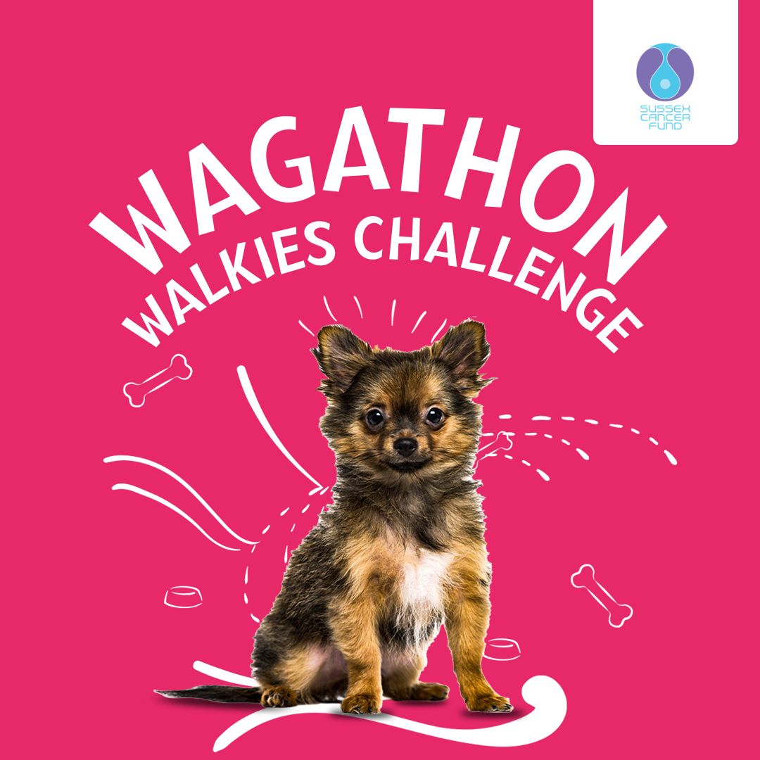 Grab the lead and your shoes and take on a walkies challenge for Sussex Cancer Fund with your pooch! You choose the distance and terrain! bit.ly/4kgnZHq