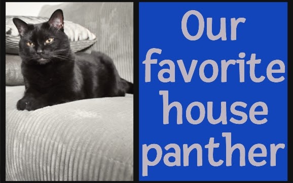 Today's re-run from March 2024: Our favorite housepanther.

#cat #photography #blackisbeautiful

mommakatandherbearcat.com/2024/03/our-fa…