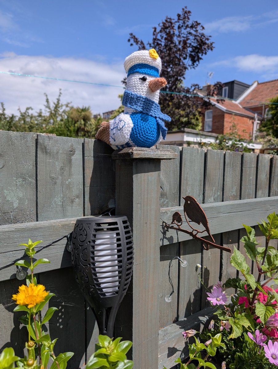 callytaylor's tweet image. Crocheted a seagull for my Brighton and Hove Albion loving sister!