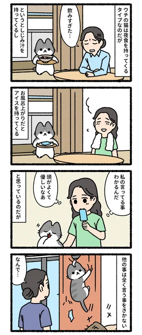 夜食を持ってくる猫 
