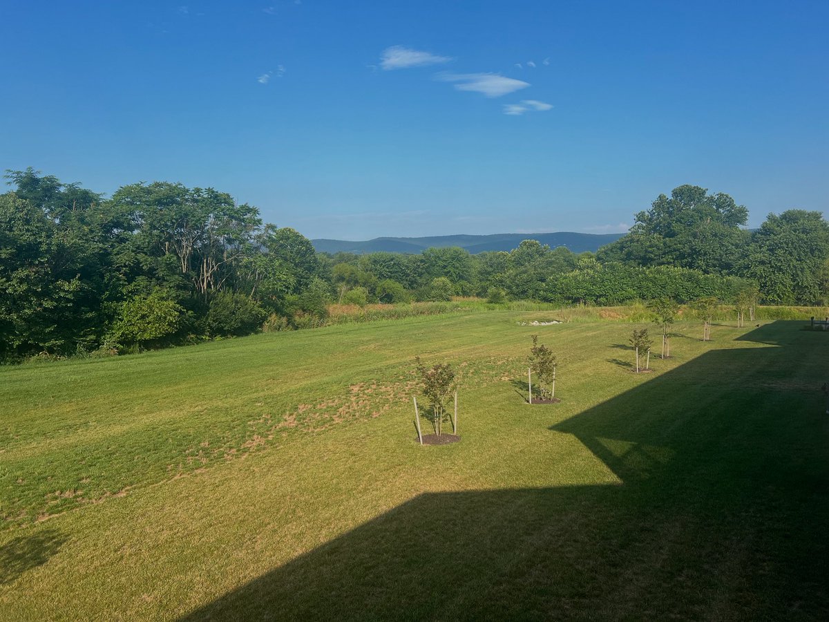 Good morning Frederick, MD! Life is good!