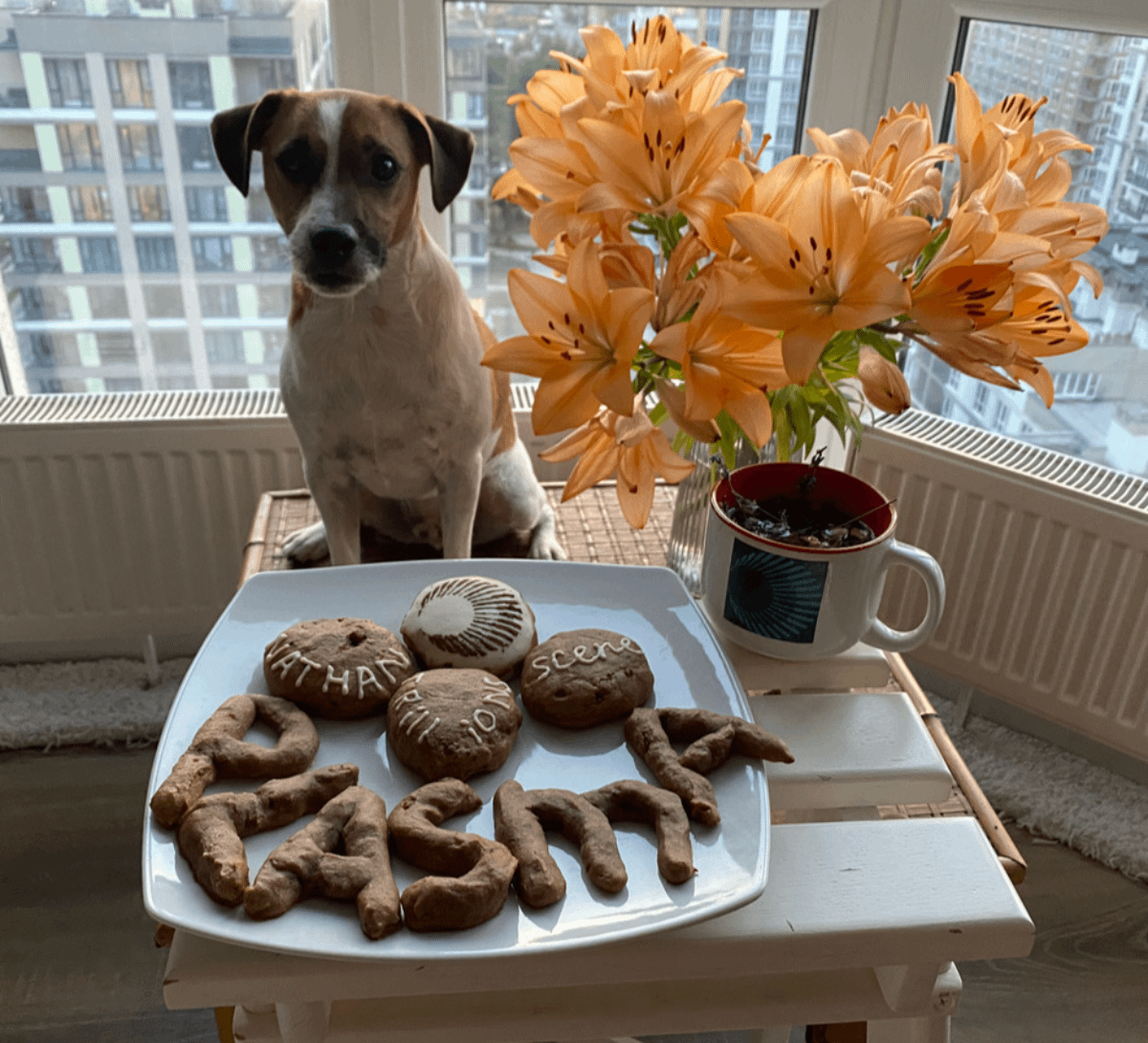 sashawhiteee's tweet photo. trllions 🕊️

i wanted to create something really tasty and nice for the @PlasmaFDN team.

so i baked some delicious cookies using a recipe that i'll share with you below.

before we get into it, i'd like to ask you to like and support this post if you enjoyed it. https://t.co/GQ3RjCpFG6